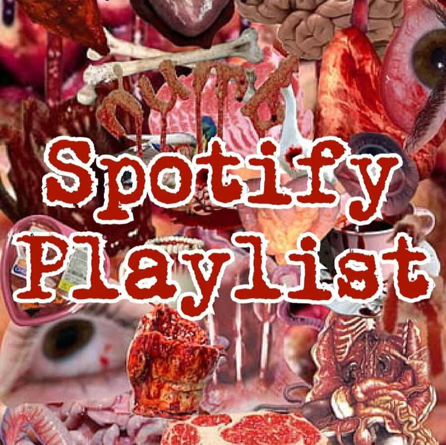 Spotify Playlist Spotify Playlist