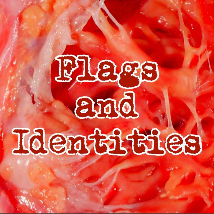 Flags and Identities Flags and Identities