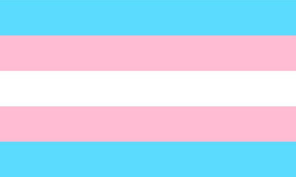 Trans Trans